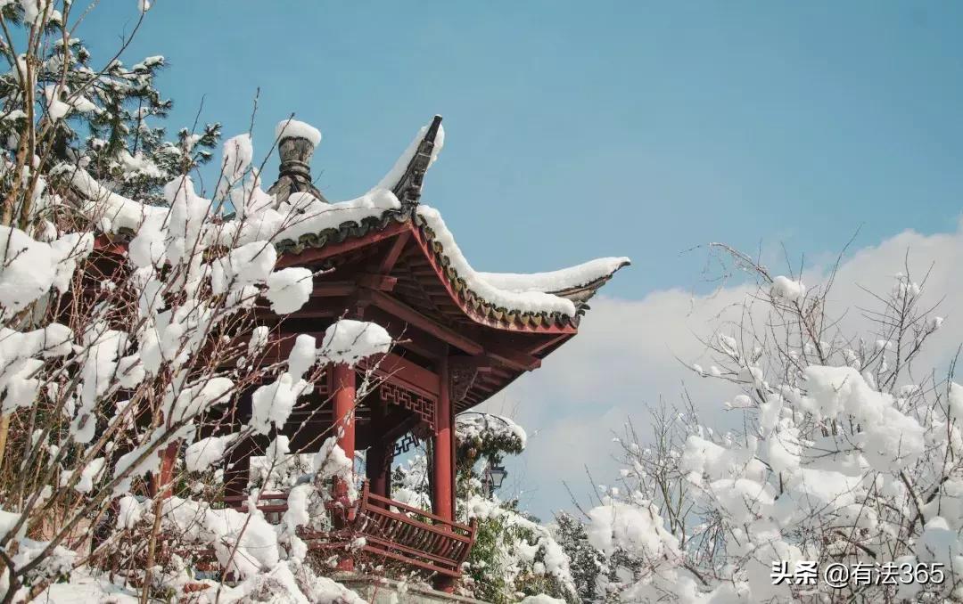 南极人保暖内衣正品多少钱,南极人内衣发霉事件