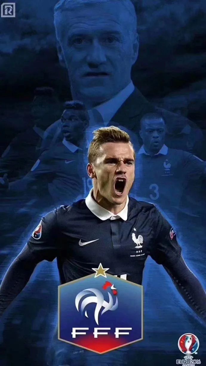 法国人与熊猫的关系,法国人和英国人有亲缘关系吗