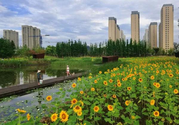 宁波鄞州区室内遛娃,宁波鄞州遛娃公园推荐