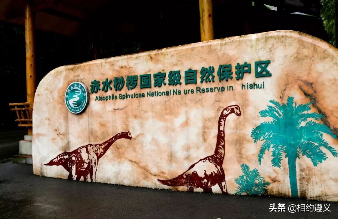 赤水大瀑布 侏罗纪公园 (贵州赤水侏罗纪公园攻略)