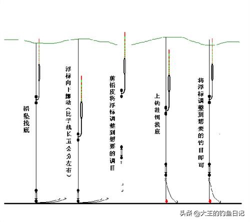 肥水塘用什么钓鲤鱼,肥水塘怎么钓鲫鱼最好