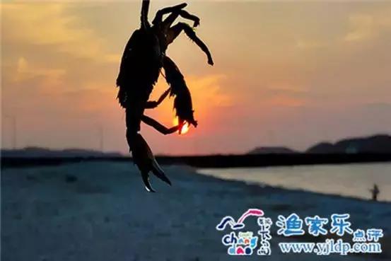 一瞥如希望中的憧憬，长岛乐驿陶的不同，是您忙碌后的期待！