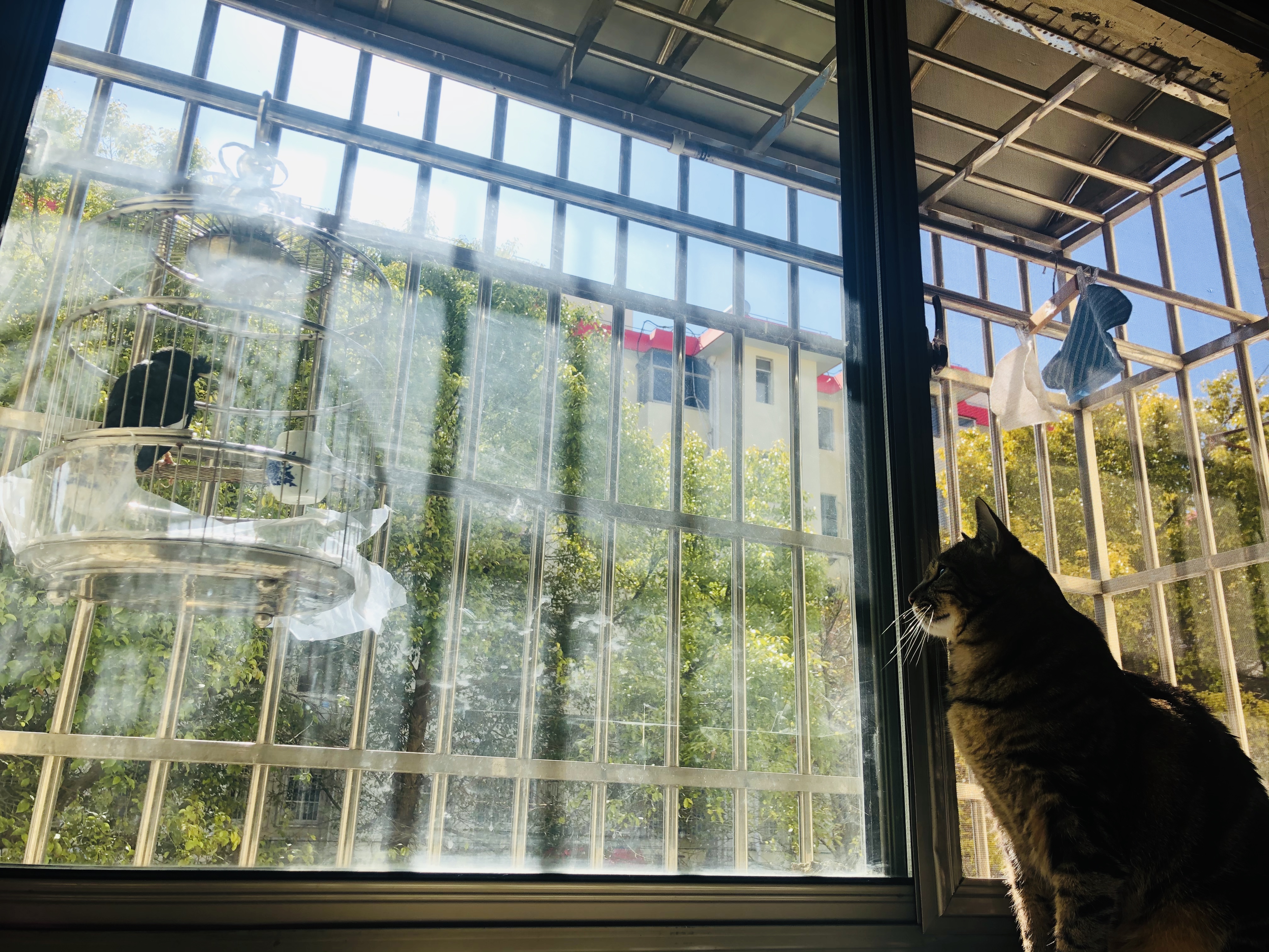 老年男性的“刁”让我闪了腰