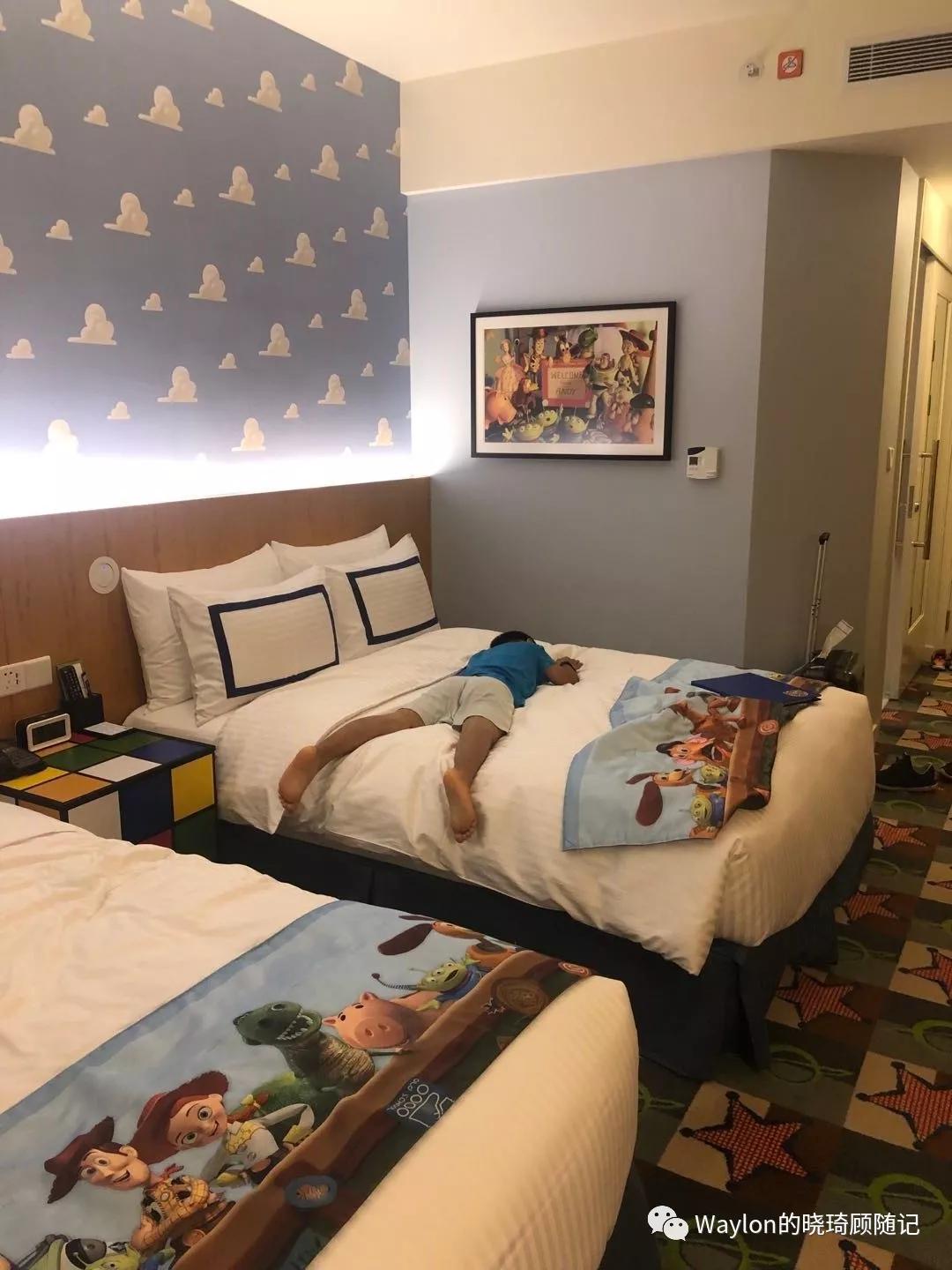 2019新西兰,2019年新西兰