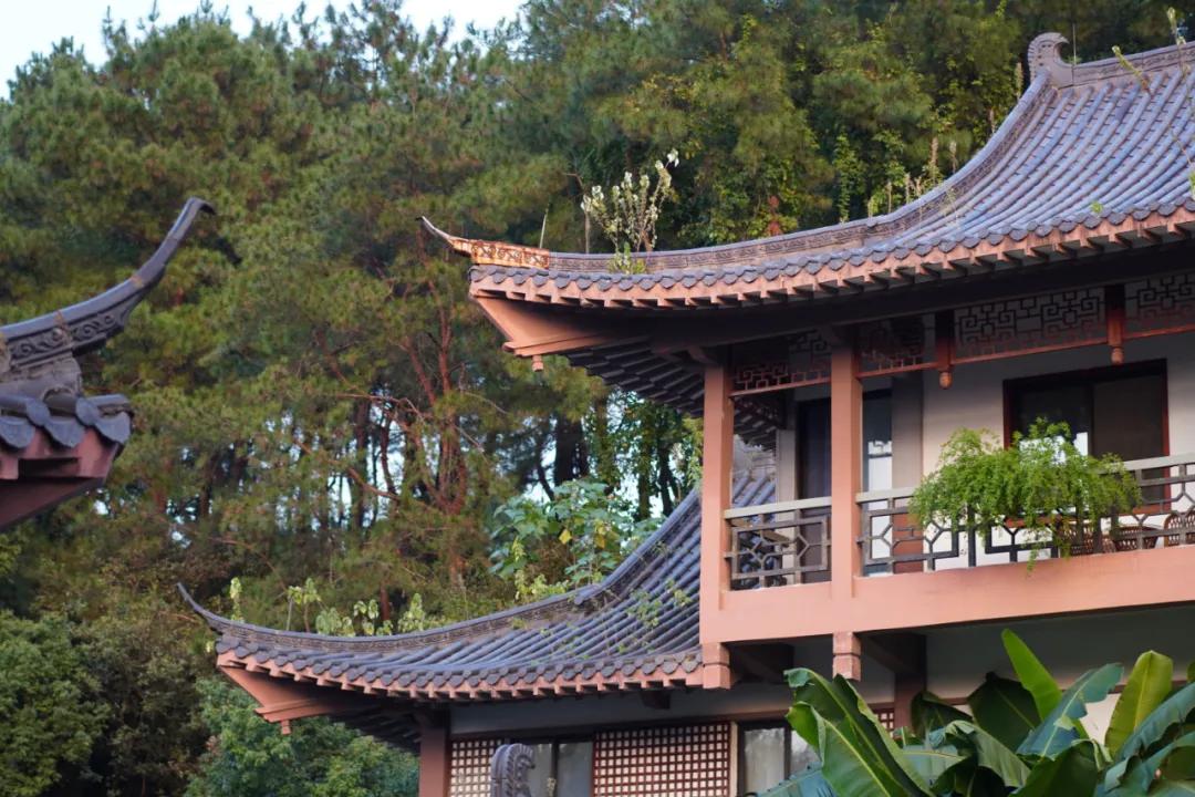 住进风景里的酒店,住进森系酒店