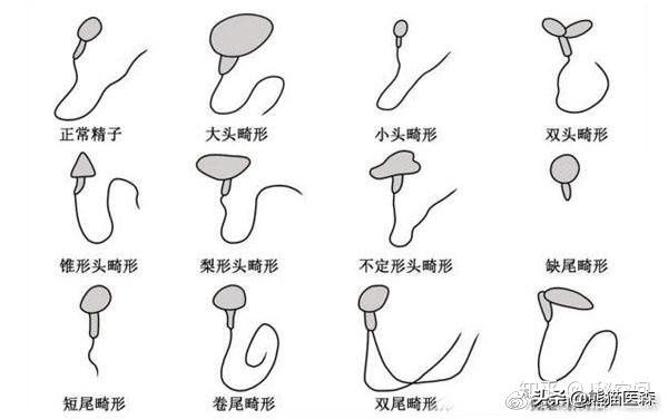 给我三分钟，一起读懂你的精液