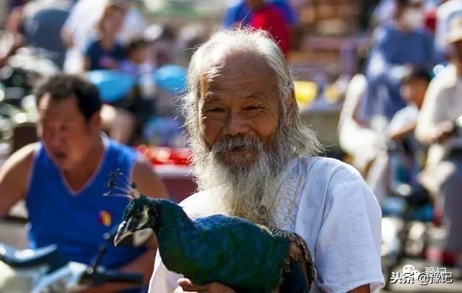 皇城根脚下，那是开封大爷遛鸟的天地