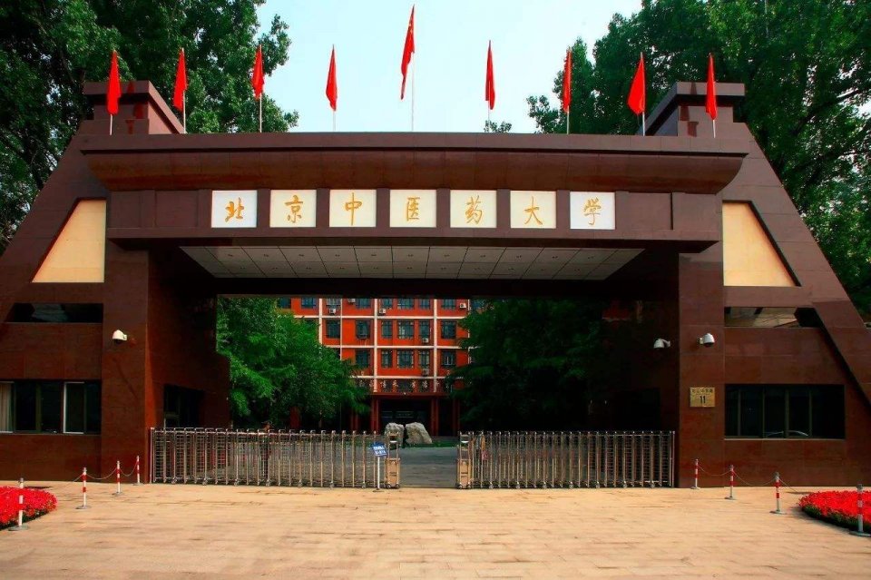 学医选211对吗,学医最好的985211大学