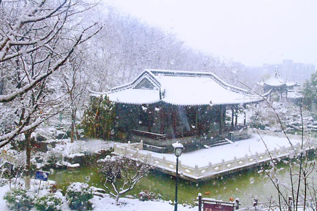 南京金陵小学仙林学费,南京市金陵小学仙林湖校区学费