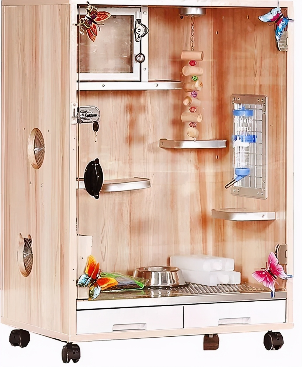 龙猫饲养全科普,科普饲养龙猫小知识