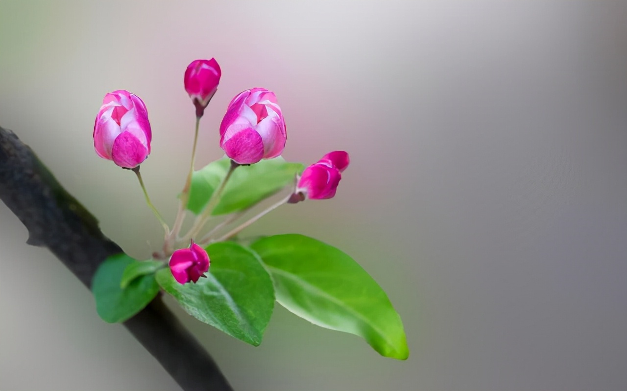 坚持丁克的9年,坚持丁克的人老了过得怎么样