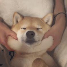 便宜好用的精华水多少钱,平价平替精华推荐