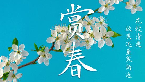 中华精品字库项目,中华字库精品工程