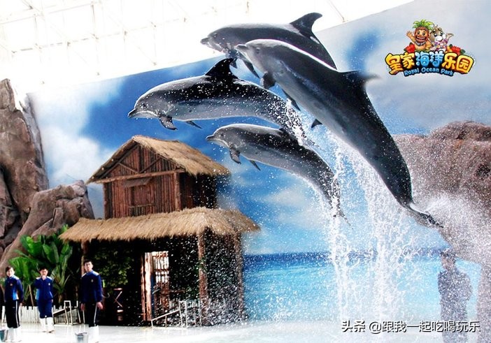 抚顺海洋馆外面有什么,沈阳和抚顺哪个海洋馆比较好