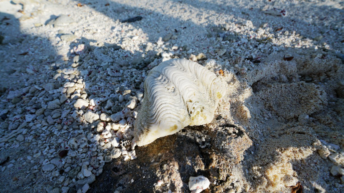 海上香格里拉金町湾,马尔代夫香格里拉隐逸的海岛天堂