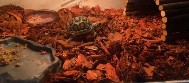 龟专用垫材,龟缸垫材推荐