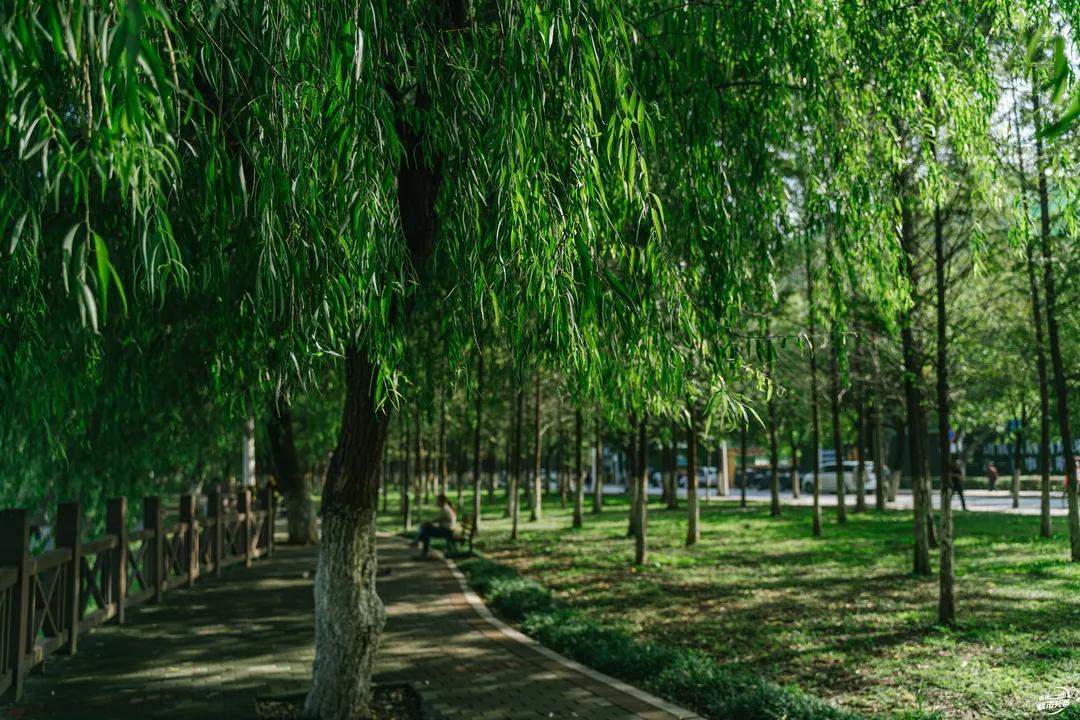 湖北荆州新增公园,荆州新修几个公园