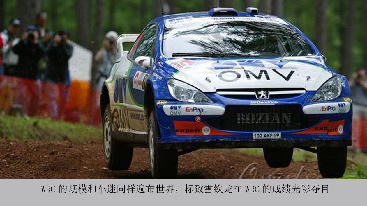 世界三大赛事是什么,世界三大汽车大奖赛是什么