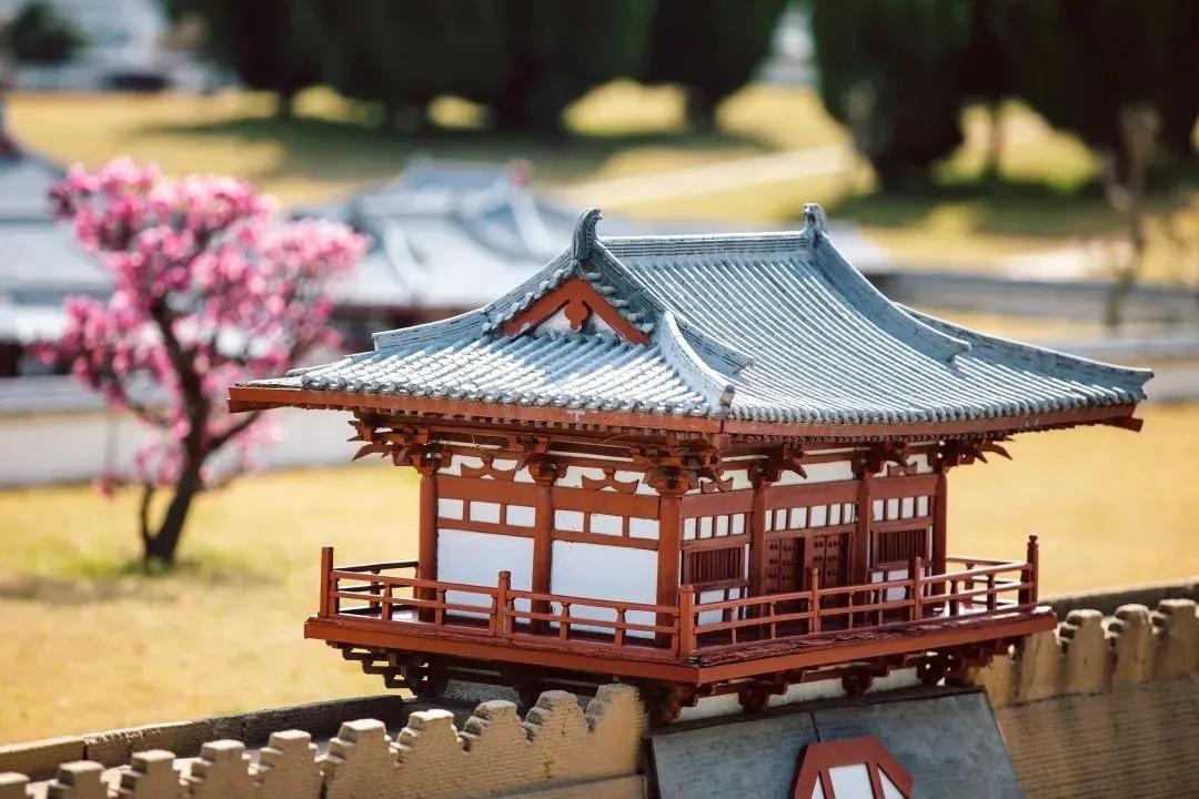 西安景区免票政策,西安市景点优惠政策元旦