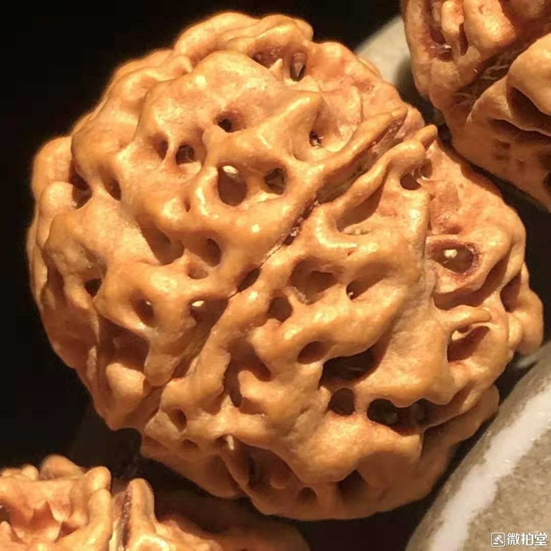 金刚菩提菠萝蜜牛津红,金刚菩提买原色的还是牛津红