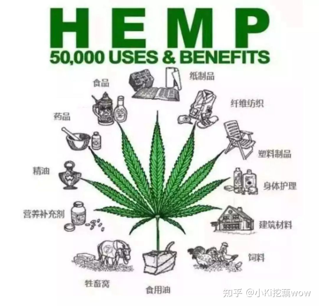 哪些产品有cbd成分,cbd是什么成分