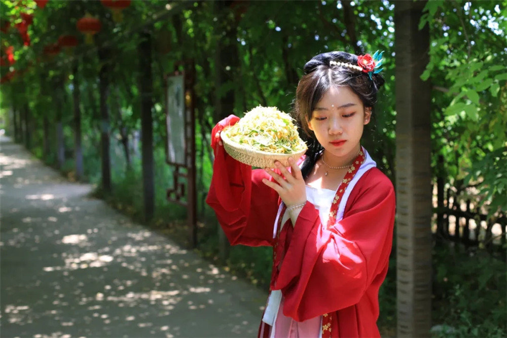 直播“云游”河北古县！连办29年红杏商务节点将巨鹿“四大美景”