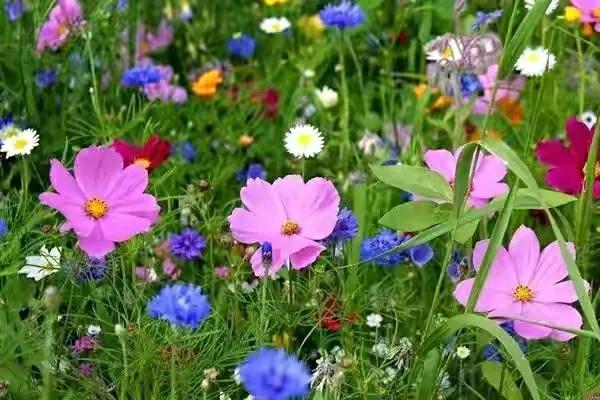 怎样做自媒体才能挣钱快,自媒体好做吗真的挣钱吗