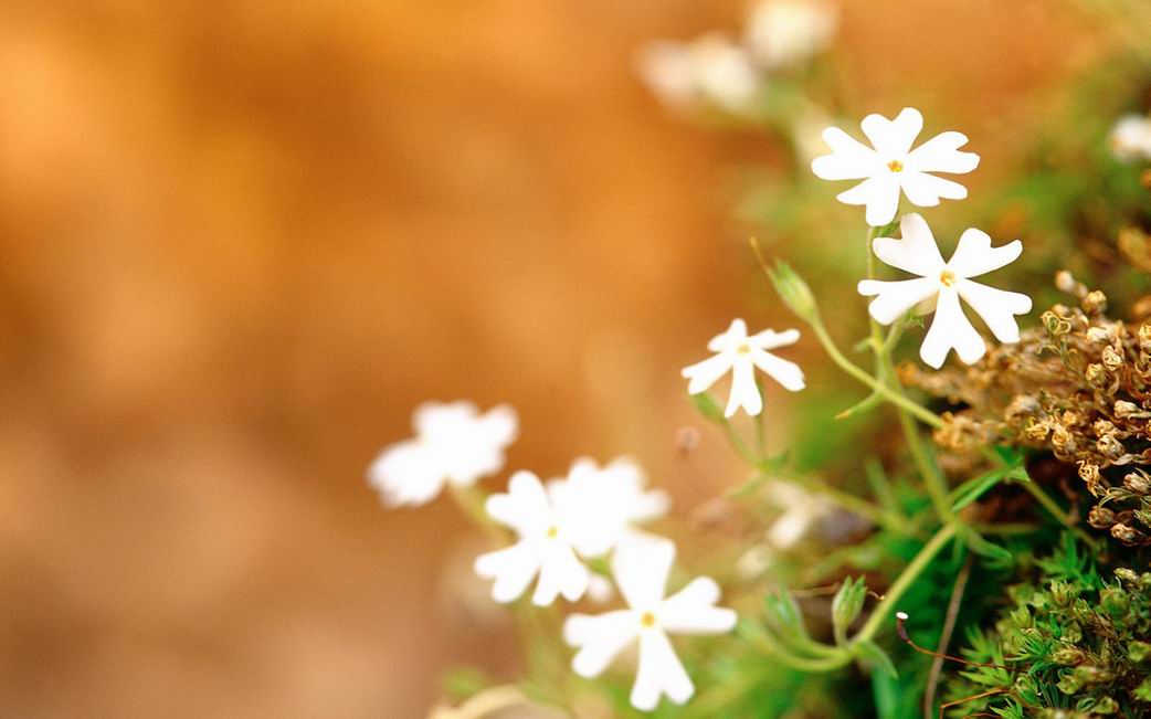 人到中年远离的3种人,人到中年远离这3种人余生顺遂