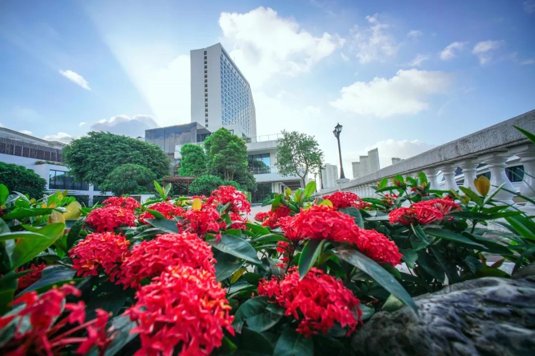 广州白天鹅自助午餐和晚餐哪个好,广州白天鹅宾馆自助餐预订