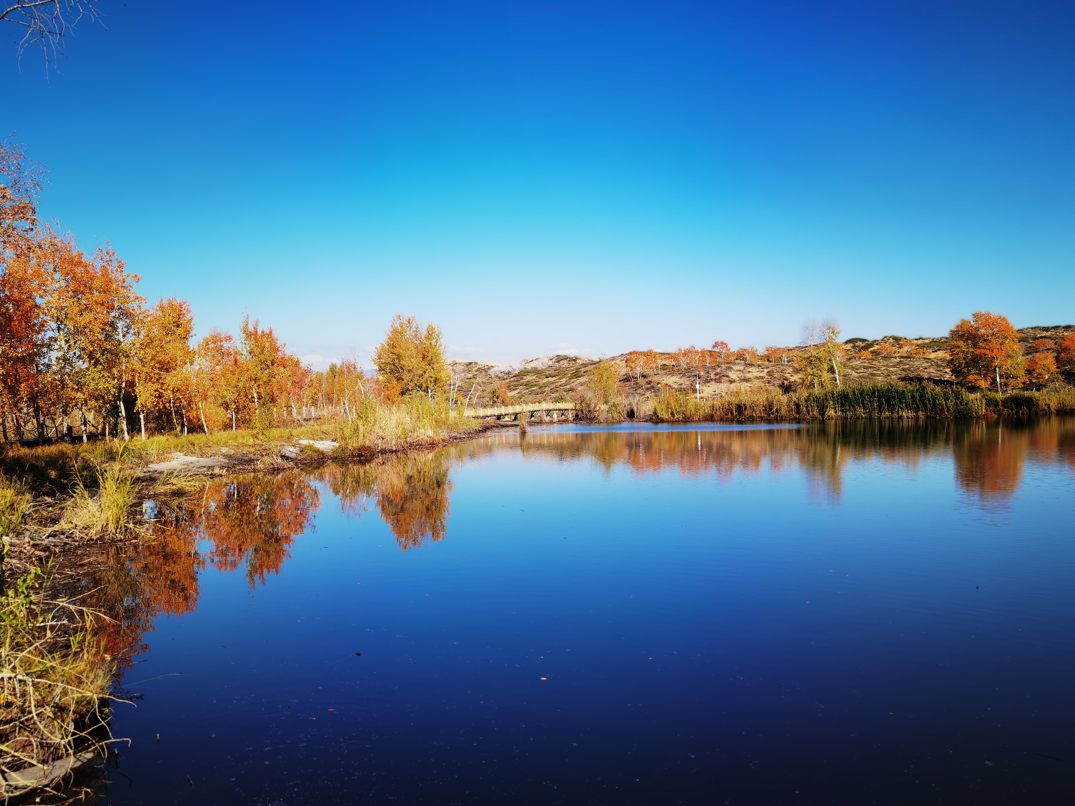 自驾游*疆新**：原来你是这样的白沙湖