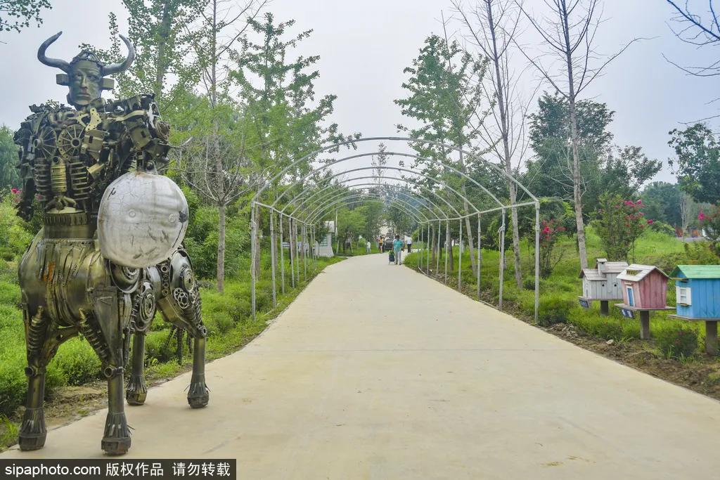 薰衣草花海真是太美了,北京薰衣草花海打卡网红地