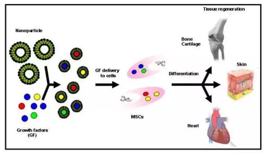 冻干零食真相,揭秘冻干粉好用吗