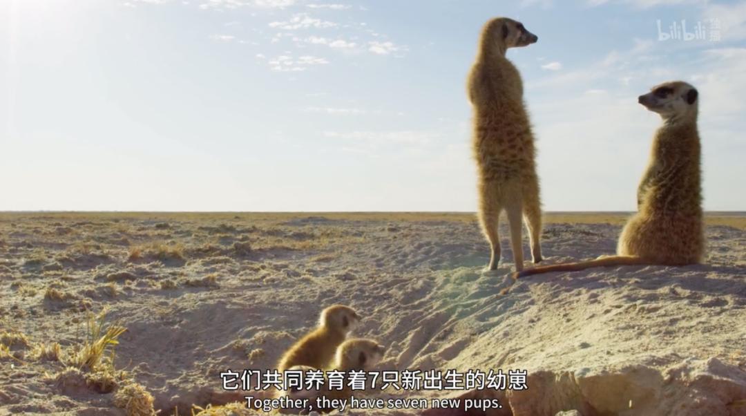 豆瓣评分9.5以上的国产电影有哪些,十部顶级神片推荐