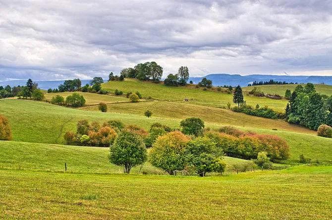 通过二次配方注册的韩国奶粉,通过注册制的奶粉