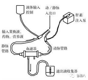 血液净化和血液过滤的区别,血液净化技术的简介