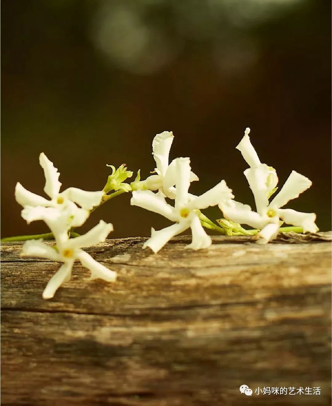 自己需要仪式感,仪式感成为自己喜欢的样子