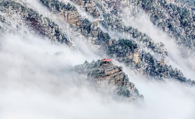 庐山旅游策划,庐山风景区政府招投标公告