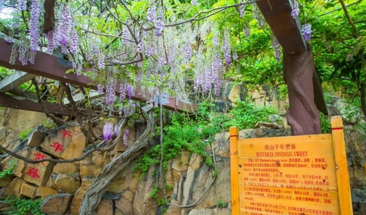 南山是几级风景区,南山的意义