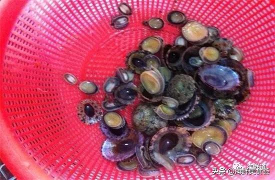 102种海鲜,营养丰富的海鲜有哪些品种