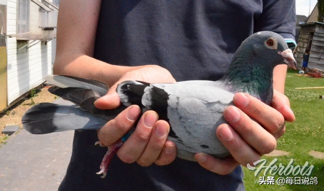 96年巴塞罗那比赛录像,2011年巴塞罗那五冠王