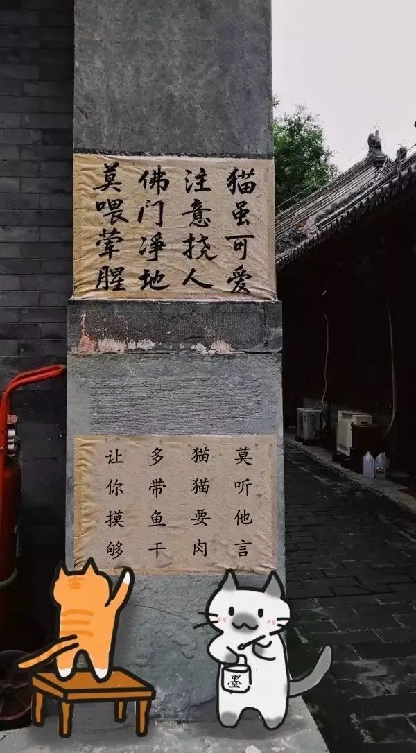 图集|如果侃爷当了美国总统，大家岂不是可以看第一夫人开车？