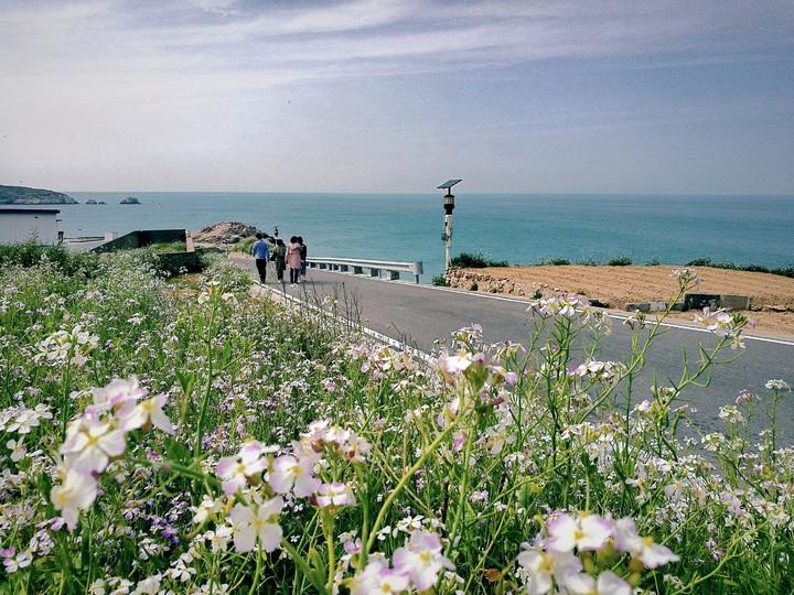 这个夏天一定要去花鸟岛,花鸟岛旅游攻略海边