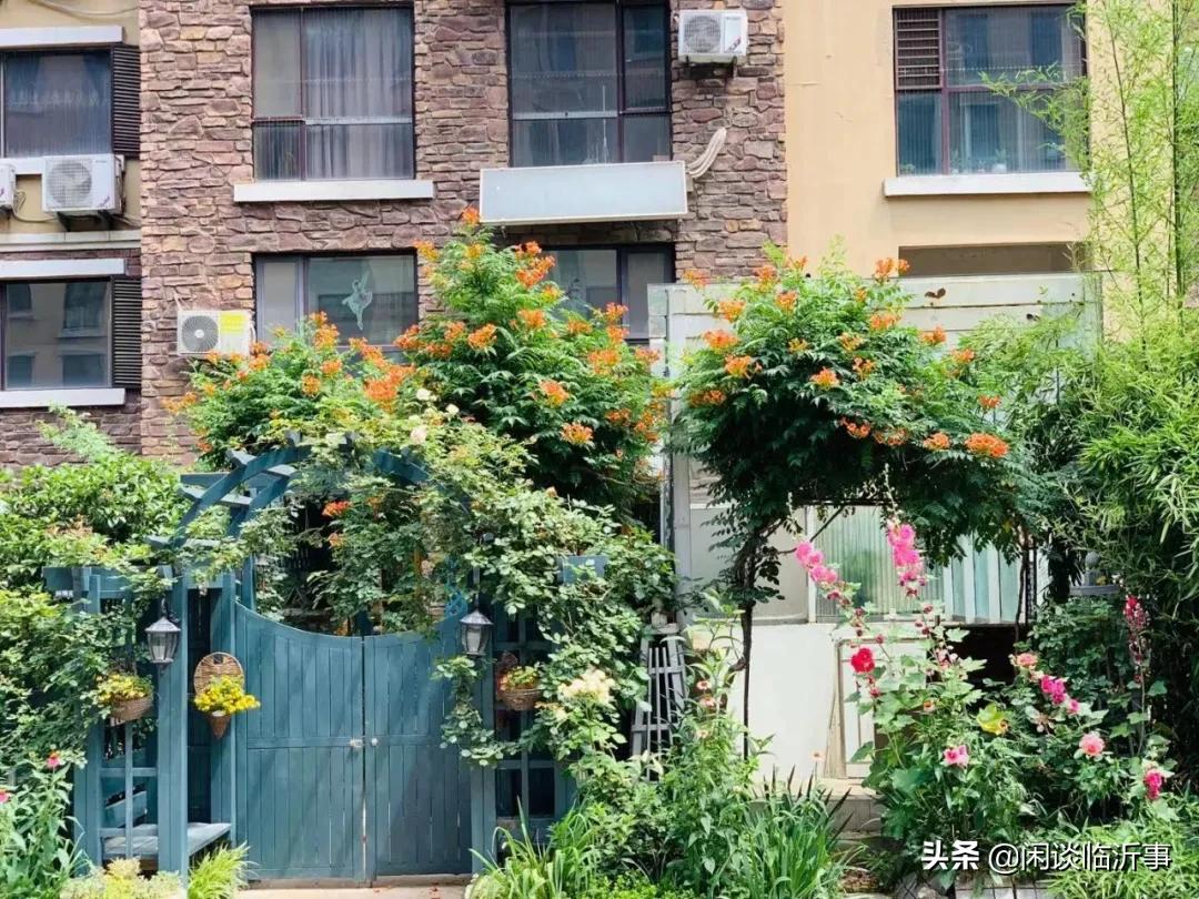 可圈可点，实探临沂学区老大哥三十五中，周边两万+的学区房