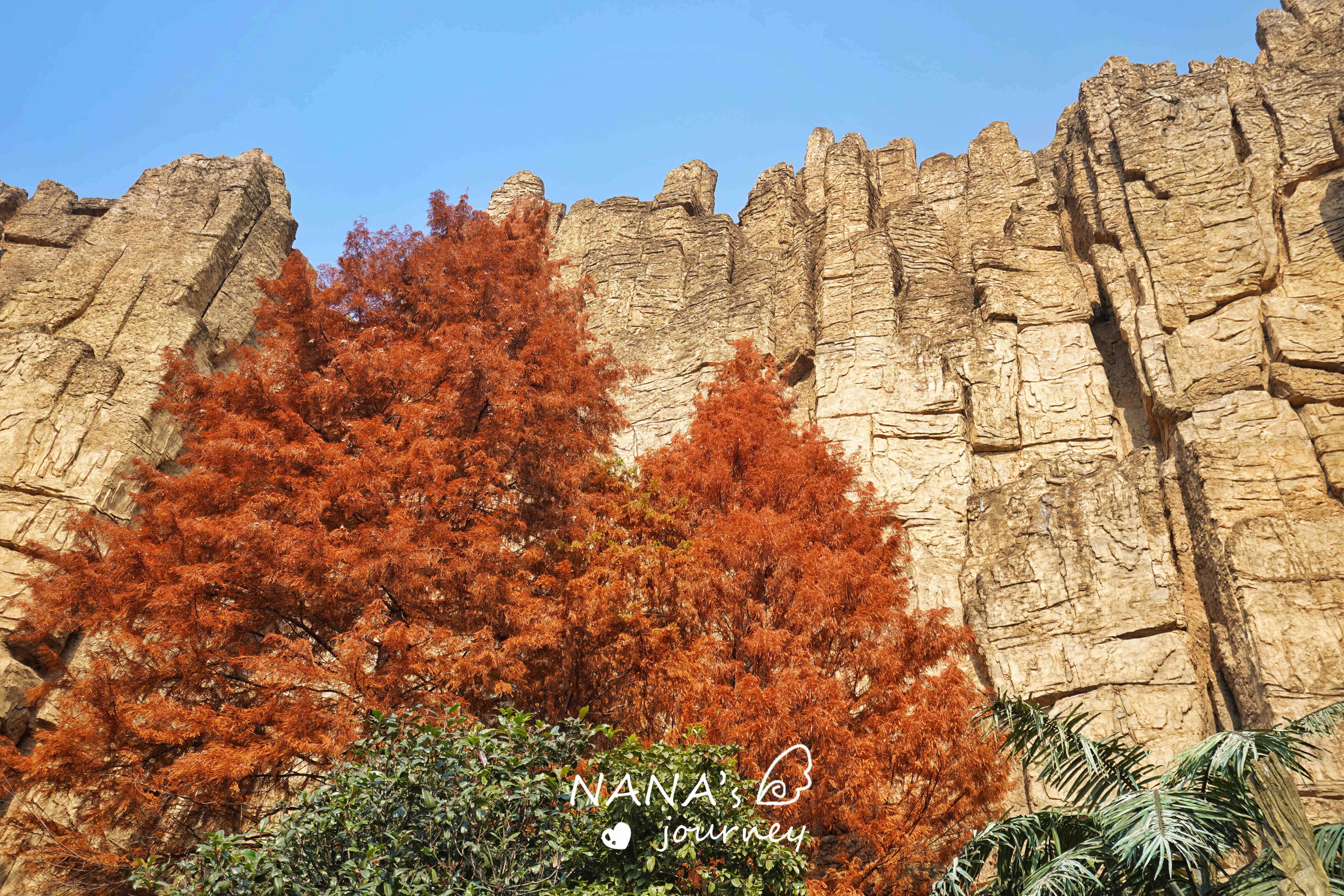 常州恐龙园怎么玩项目,常州恐龙园水世界攻略