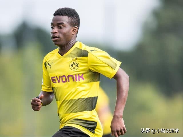 装甲车的未来,德国战车的未来