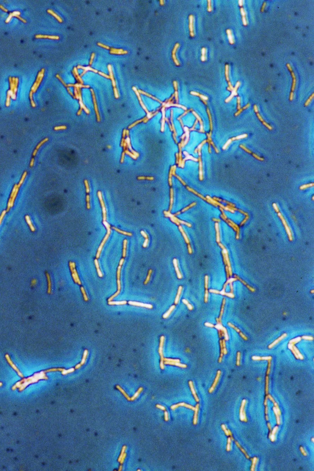 感染病毒后的168小时,你的体内都发生了什么?