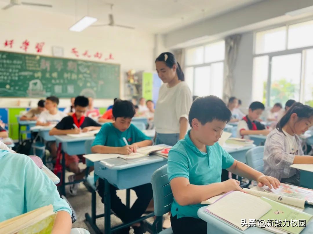 学校双减政策实施情况汇报,有哪些学校真正做到双减