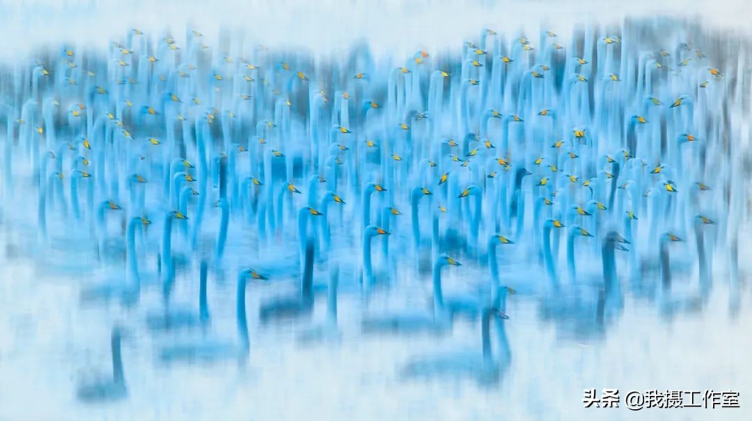 第16届国际摄影艺术展获奖作品,第29届全国摄影艺术展览作品集