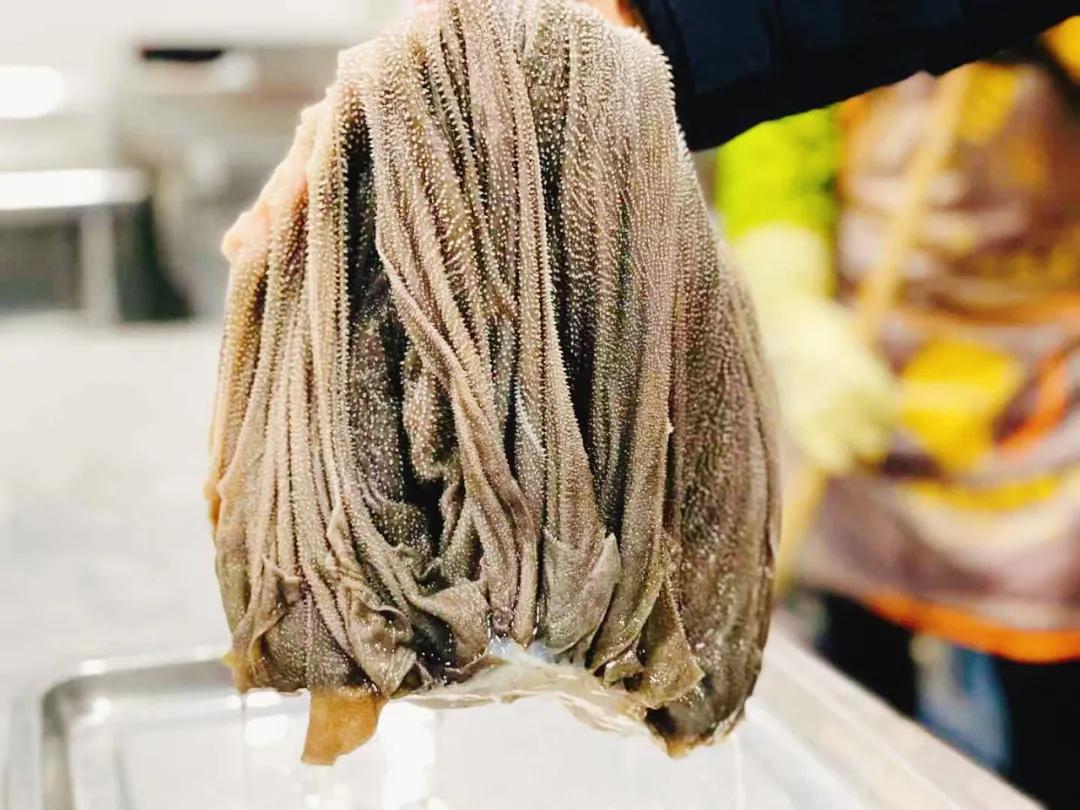 特色牛杂火锅,嘉香斋牛杂火锅怎么样