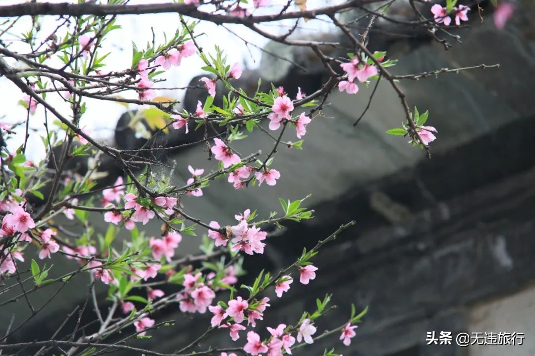 大理磻溪s弯网红打卡,大理洱海磻溪村s弯网红打卡地